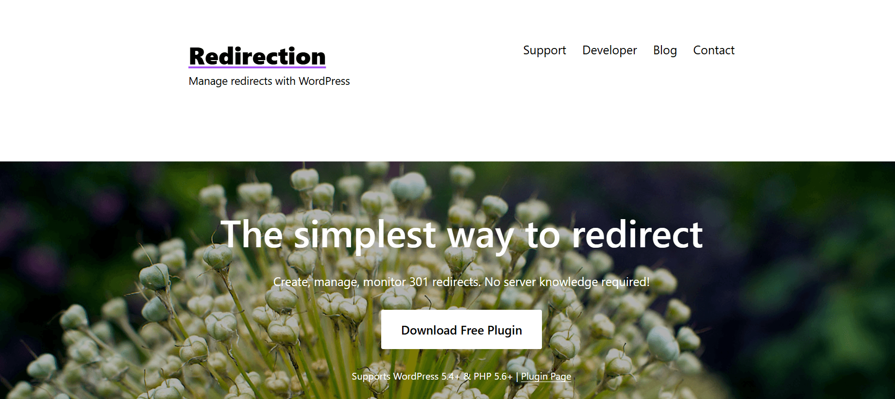 Redirection 2026 dashboard review showing the 404 error log, 301 redirect management, and security header configuration settings.